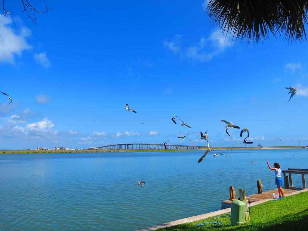 Multi Resorts At Puente Vista كوربوس كريستي المظهر الخارجي الصورة